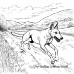 Running Greyhound Action Shot Coloring Pages 3