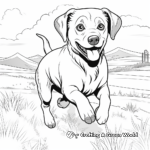 Running Rottweiler Coloring Pages for Action Lovers 2
