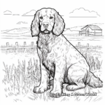 Rustic Field Cocker Spaniel Coloring Pages 1