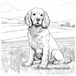 Rustic Field Cocker Spaniel Coloring Pages 2