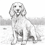 Rustic Field Cocker Spaniel Coloring Pages 3