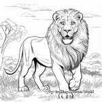 Savannah Roaring Lion Coloring Pages 1