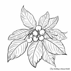 Seasonal Fall Leaves Clip Art Coloring Pages 3