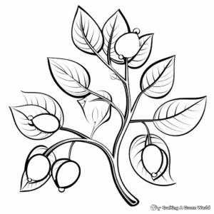 Seasonal Fall Leaves Clip Art Coloring Pages 4
