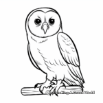 Simple Barn Owl Coloring Pages for Kids 1