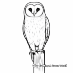Simple Barn Owl Coloring Pages for Kids 3