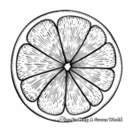 Simple Lemon Slice Coloring Pages for Kids 4