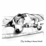 Sleeping Greyhound Lifestyle Coloring Pages 2