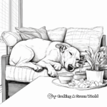 Sleeping Greyhound Lifestyle Coloring Pages 3