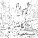 Soothing Deer in the Forest Coloring Pages 2