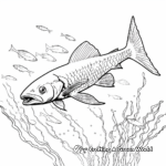 Southern Sennet Barracuda Coloring Pages 2