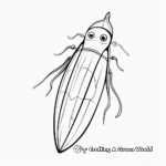 Squid Anatomy Coloring Pages for Learning 3