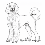 Standard Poodle Coloring Sheets for Adults 4
