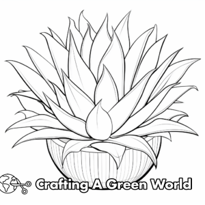Succulent Coloring Pages Free Printable succulent-coloring-pages-free-printable