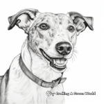 Stunning Portrait Greyhound Coloring Pages 2