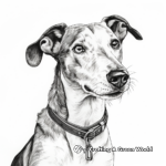 Stunning Portrait Greyhound Coloring Pages 3