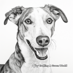 Stunning Portrait Greyhound Coloring Pages 4