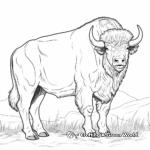 Stunning White Bison Coloring Pages 1