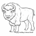 Stunning White Bison Coloring Pages 2