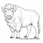 Stunning White Bison Coloring Pages 4