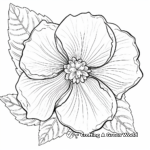Traditional Poinsettia Coloring Pages 1