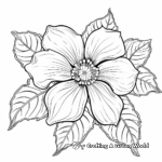 Traditional Poinsettia Coloring Pages 3