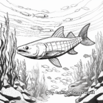 Underwater Scene with European Barracuda Coloring Pages 3