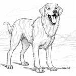 Wild Wolfhound Coloring Pages 4