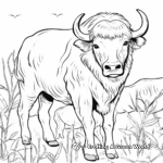 Wisent Bison Coloring Pages for Nature Lovers 3