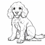 Youthful American Cocker Spaniel Coloring Sheets 4