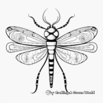 Abstract Dragonfly Coloring Pages for Adults 2