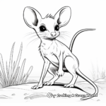 Active Kangaroo Rat Coloring Pages 2