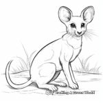 Active Kangaroo Rat Coloring Pages 4