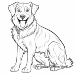 Alluring Australian Shepherd Dog Coloring Pages 1