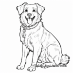 Alluring Australian Shepherd Dog Coloring Pages 2
