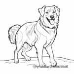 Alluring Australian Shepherd Dog Coloring Pages 3