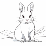 Arctic Hare White Rabbit Coloring Pages 2