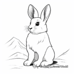 Arctic Hare White Rabbit Coloring Pages 3