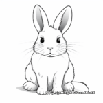 Arctic Hare White Rabbit Coloring Pages 4