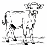 Ayrshire Cow Coloring Pages for Kids 1