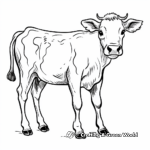Ayrshire Cow Coloring Pages for Kids 3