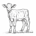 Ayrshire Cow Coloring Pages for Kids 4