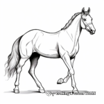 Beautiful Arabian Horse Coloring Pages 1