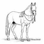 Beautiful Arabian Horse Coloring Pages 3
