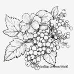 Beautiful Fall Flowers and Berries Coloring Sheets 3