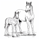 Beautiful Mare and Foal Coloring Pages 4