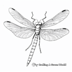 Beautiful Red-Tailed Dragonfly Coloring Pages 1