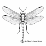 Beautiful Red-Tailed Dragonfly Coloring Pages 3