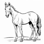 Brown Horse Coloring Sheets 3