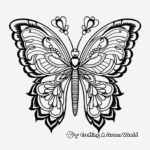 Butterfly Mandala Coloring Sheets 1